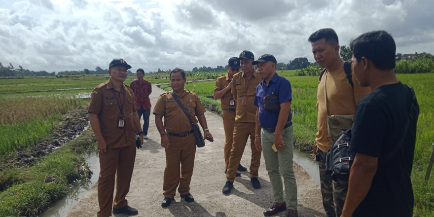 Survey Lokasi oleh PUPR Kabuapaten Tabanan untuk Proyek Pembetonan Badan Jalan Usaha Tani Subak Nyitdah I